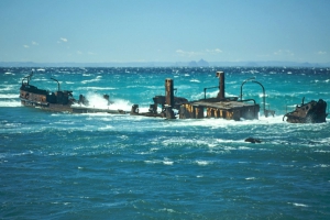 Shipwrecks at Tangaloome beach