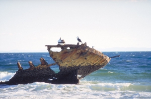 Shipwreck name: Unknown (Moreton island)