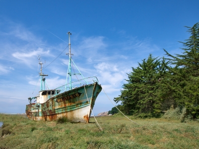 Shipwreck name: 17516