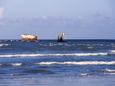 Shipwreck parts  near Daora, West Sahara